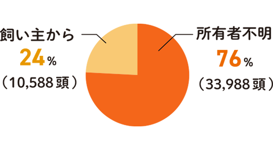 保護施設に引き取られた犬・猫の内訳